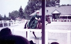 Kentucky Horse Park